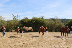 img_8101-1 img_8101-1