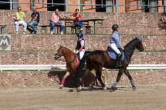 img_8132-1 img_8132-1